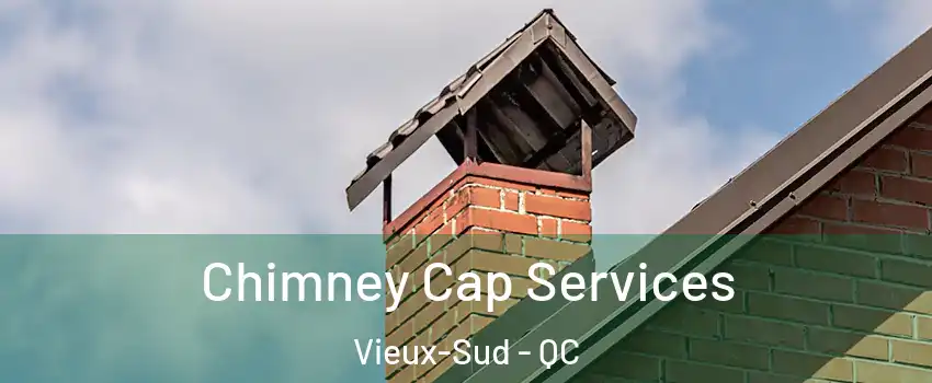  Chimney Cap Services Vieux-Sud - QC
