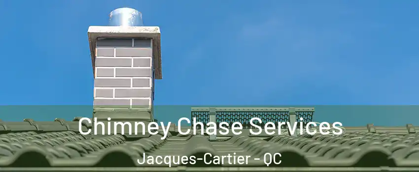 Chimney Chase Services Jacques-Cartier - QC