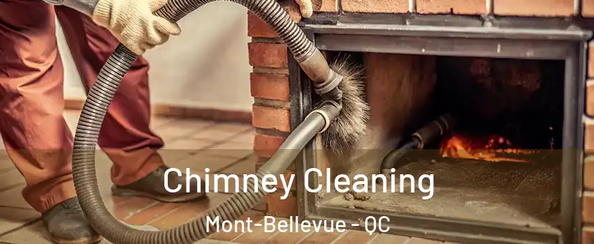  Chimney Cleaning Mont-Bellevue - QC