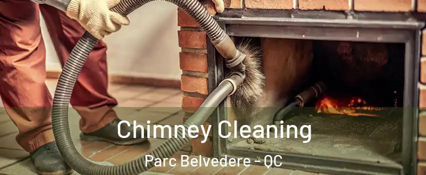  Chimney Cleaning Parc Belvedere - QC