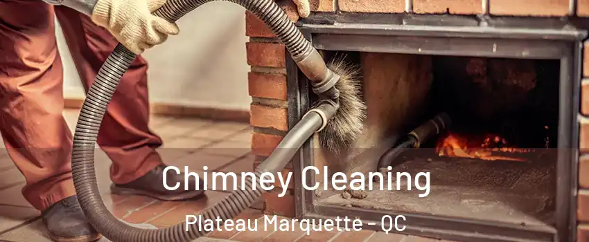  Chimney Cleaning Plateau Marquette - QC