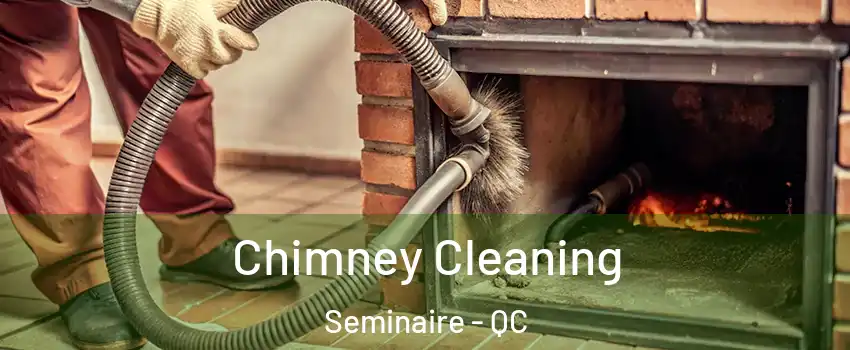  Chimney Cleaning Seminaire - QC