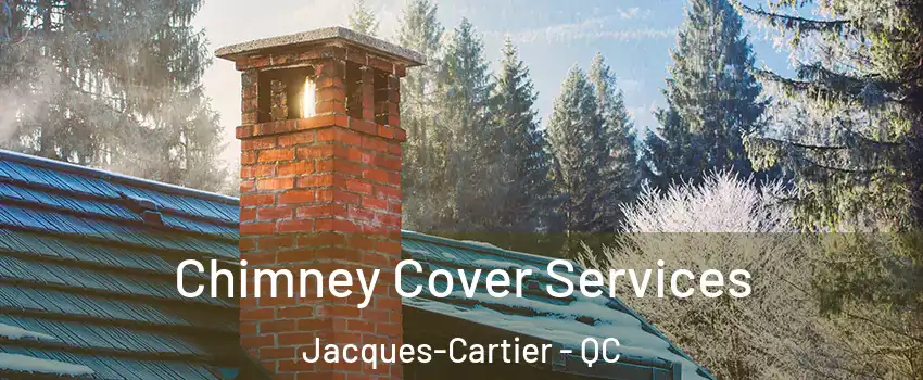  Chimney Cover Services Jacques-Cartier - QC