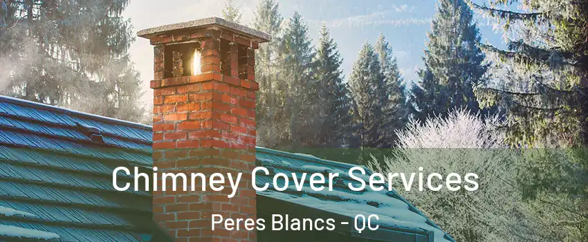  Chimney Cover Services Peres Blancs - QC