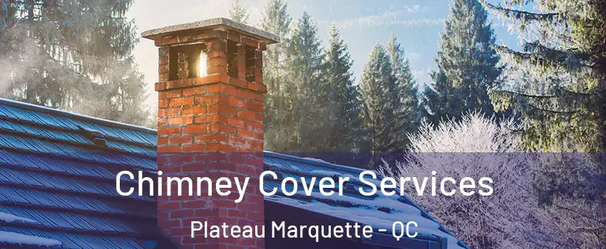  Chimney Cover Services Plateau Marquette - QC