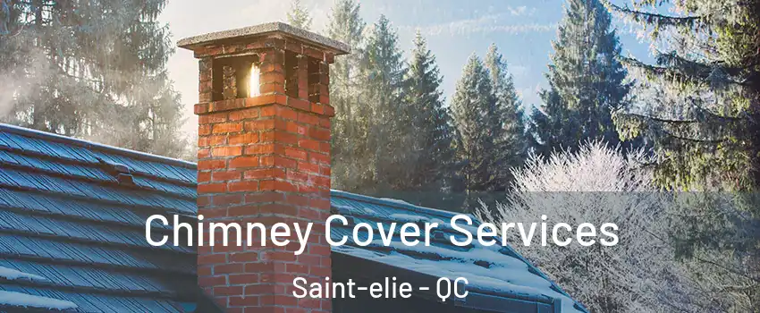  Chimney Cover Services Saint-elie - QC