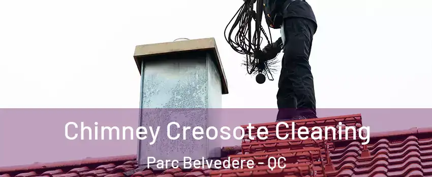  Chimney Creosote Cleaning Parc Belvedere - QC