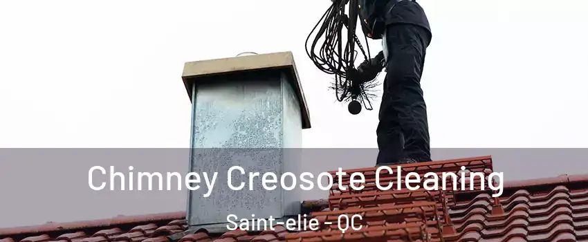  Chimney Creosote Cleaning Saint-elie - QC