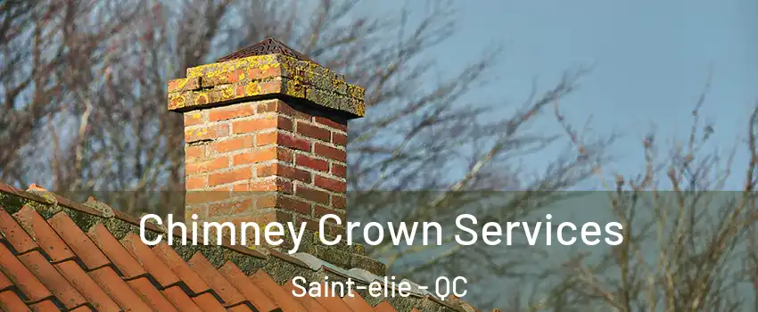  Chimney Crown Services Saint-elie - QC