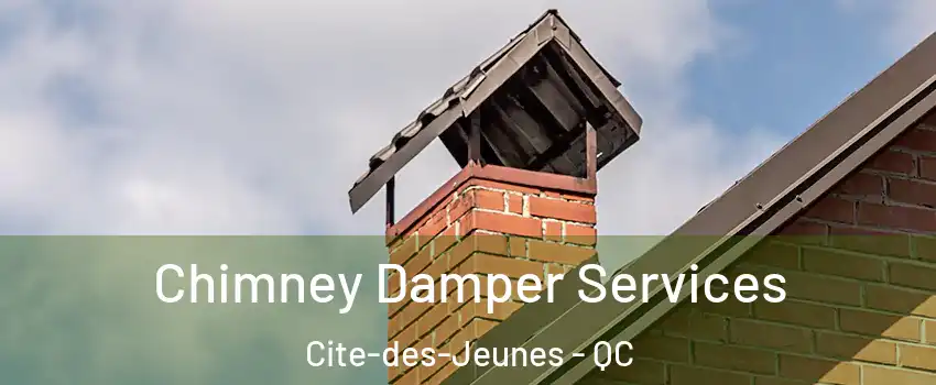  Chimney Damper Services Cite-des-Jeunes - QC