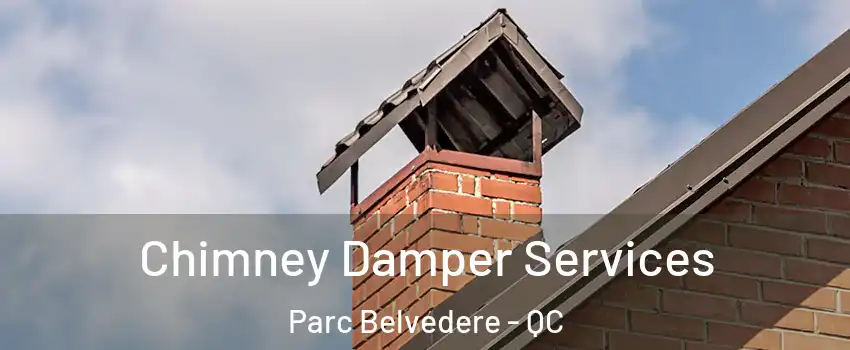  Chimney Damper Services Parc Belvedere - QC