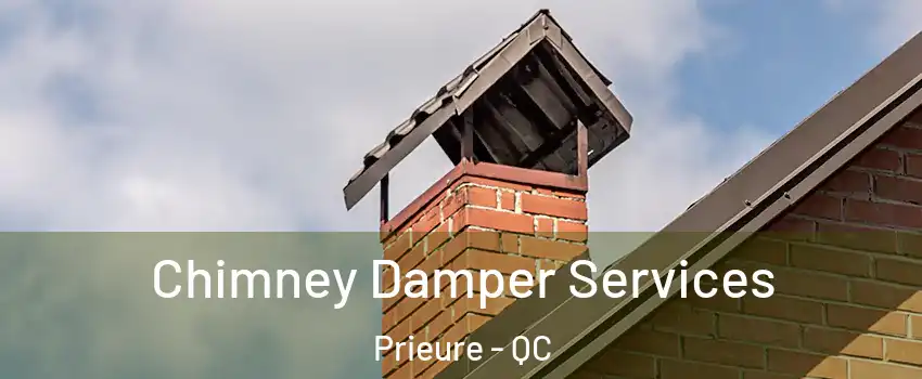  Chimney Damper Services Prieure - QC