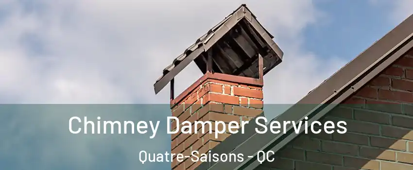  Chimney Damper Services Quatre-Saisons - QC