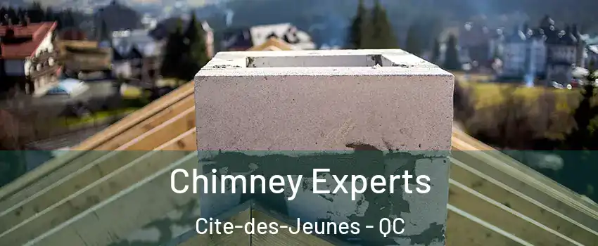 Chimney Experts Cite-des-Jeunes - QC
