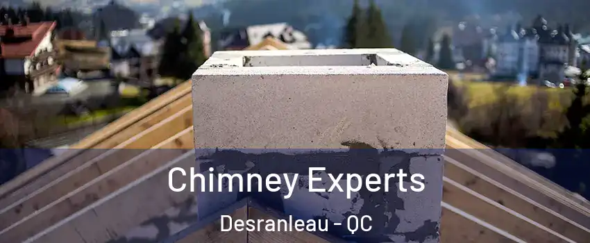  Chimney Experts Desranleau - QC