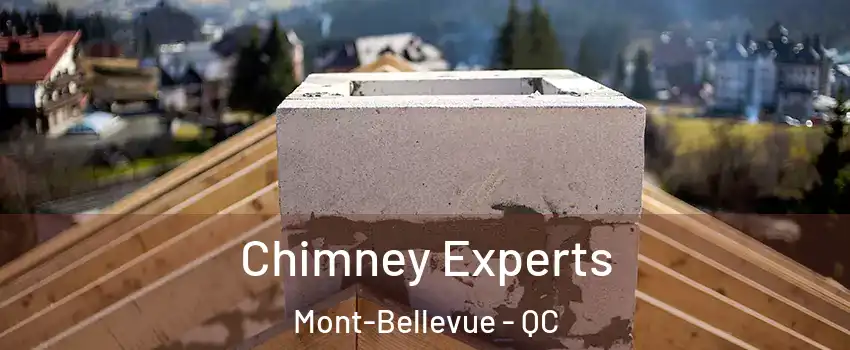 Chimney Experts Mont-Bellevue - QC