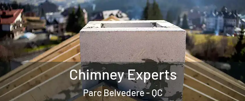 Chimney Experts Parc Belvedere - QC