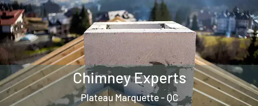  Chimney Experts Plateau Marquette - QC