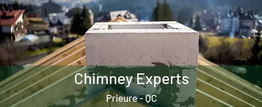Chimney Experts Prieure - QC