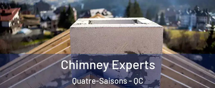  Chimney Experts Quatre-Saisons - QC