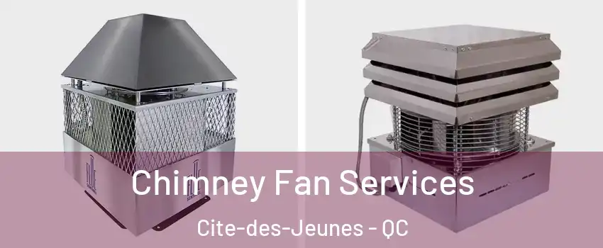  Chimney Fan Services Cite-des-Jeunes - QC