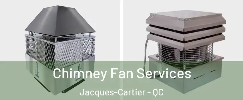  Chimney Fan Services Jacques-Cartier - QC