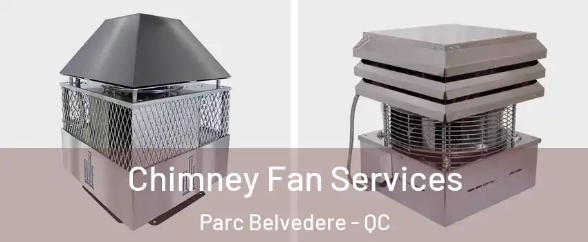  Chimney Fan Services Parc Belvedere - QC