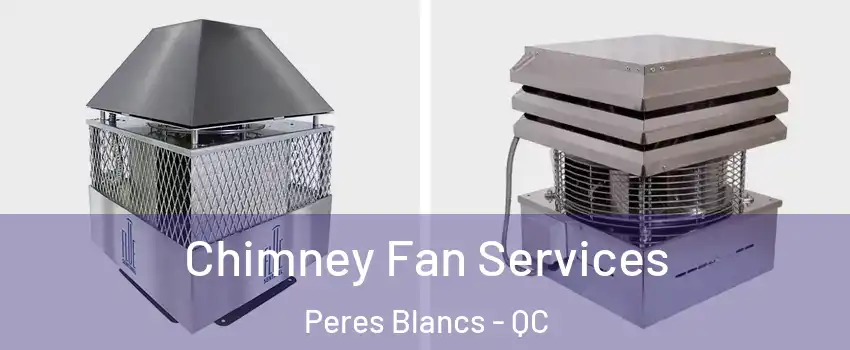 Chimney Fan Services Peres Blancs - QC