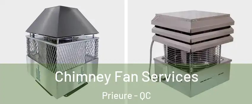  Chimney Fan Services Prieure - QC