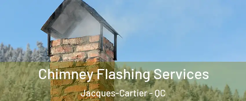 Chimney Flashing Services Jacques-Cartier - QC