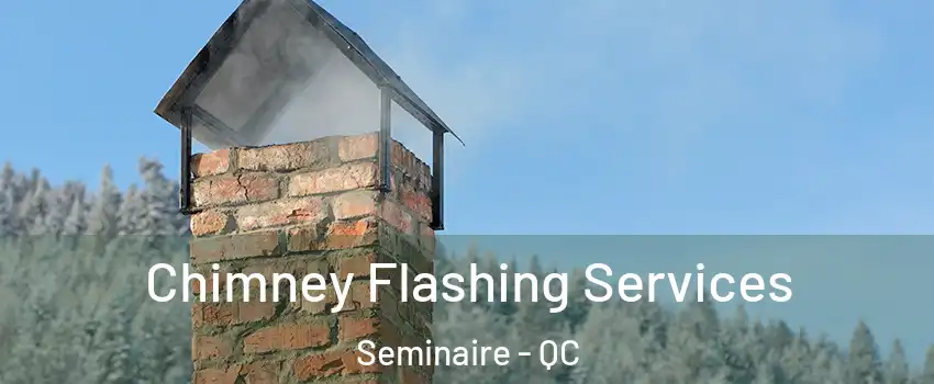 Chimney Flashing Services Seminaire - QC