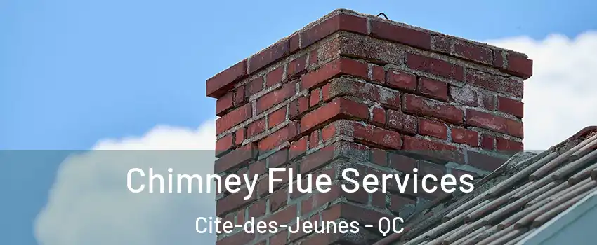  Chimney Flue Services Cite-des-Jeunes - QC