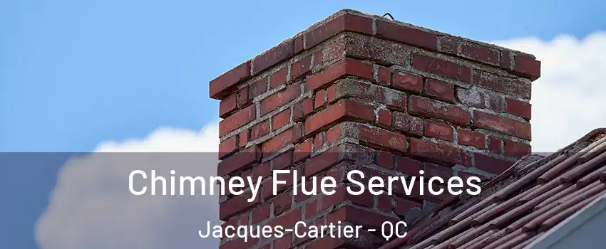  Chimney Flue Services Jacques-Cartier - QC