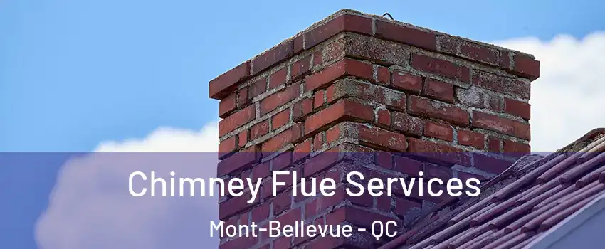  Chimney Flue Services Mont-Bellevue - QC
