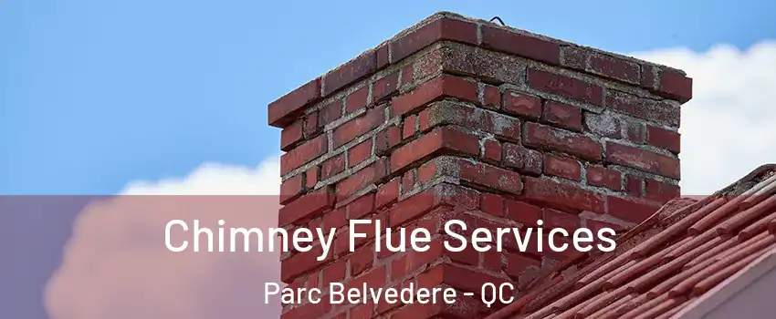  Chimney Flue Services Parc Belvedere - QC