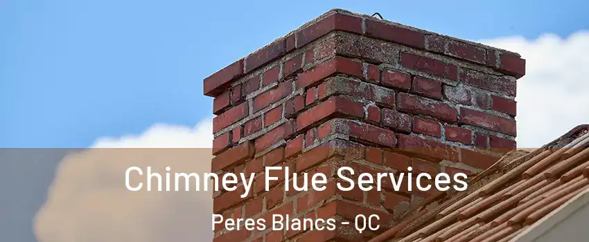  Chimney Flue Services Peres Blancs - QC