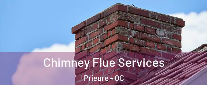  Chimney Flue Services Prieure - QC