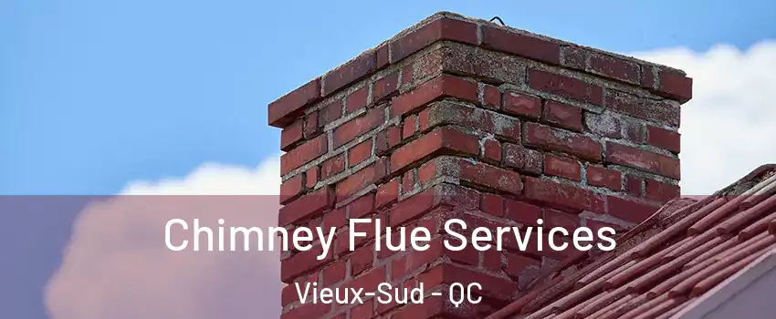  Chimney Flue Services Vieux-Sud - QC