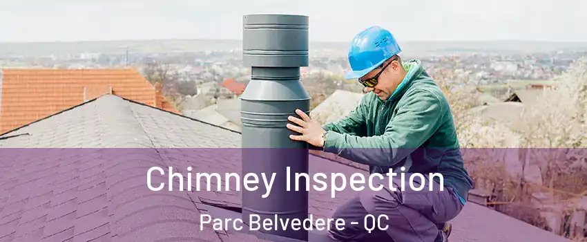  Chimney Inspection Parc Belvedere - QC