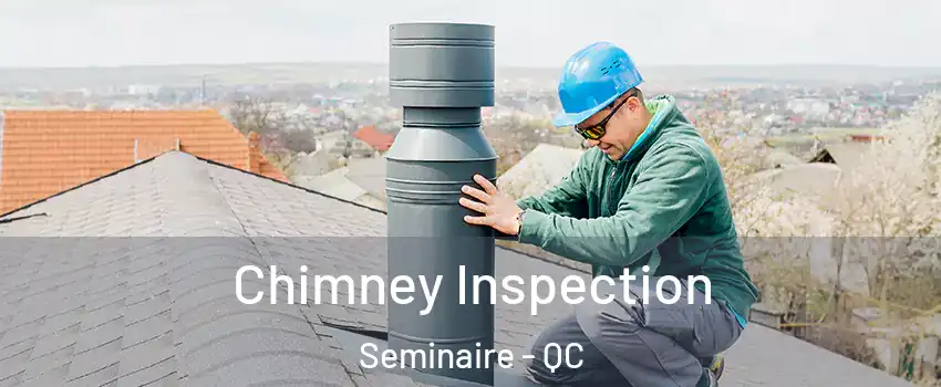  Chimney Inspection Seminaire - QC
