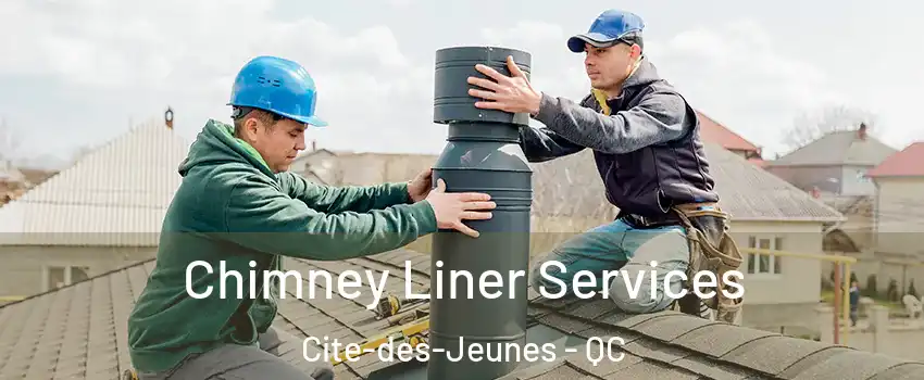  Chimney Liner Services Cite-des-Jeunes - QC