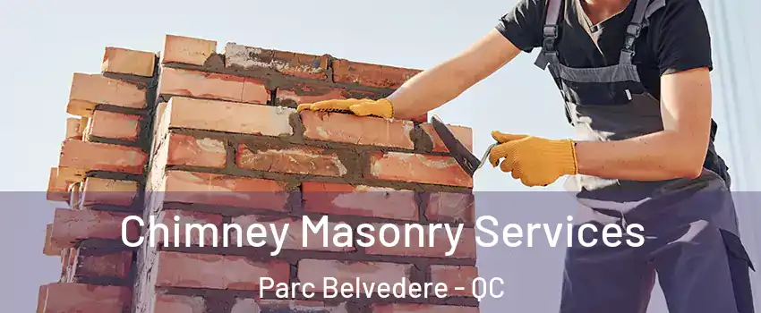  Chimney Masonry Services Parc Belvedere - QC
