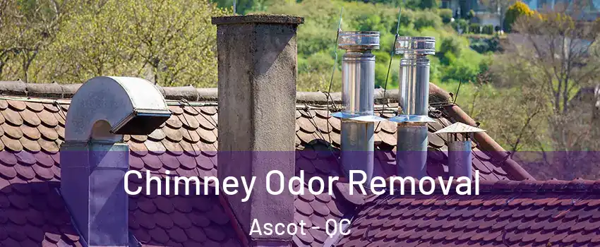 Chimney Odor Removal Ascot - QC
