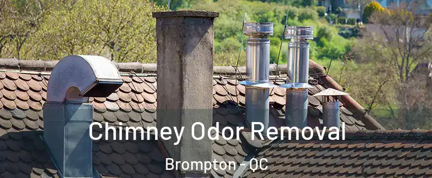  Chimney Odor Removal Brompton - QC