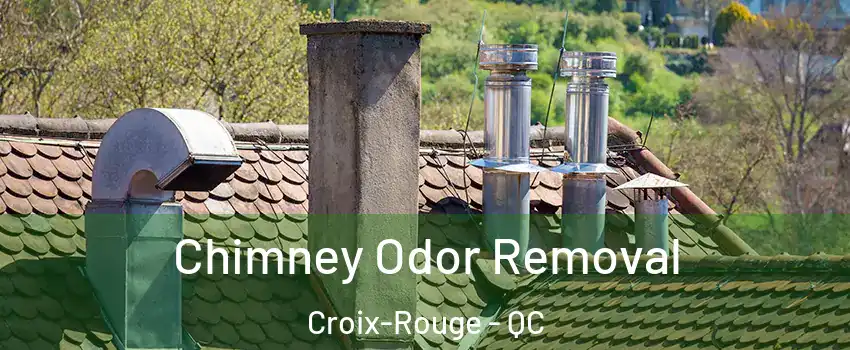 Chimney Odor Removal Croix-Rouge - QC