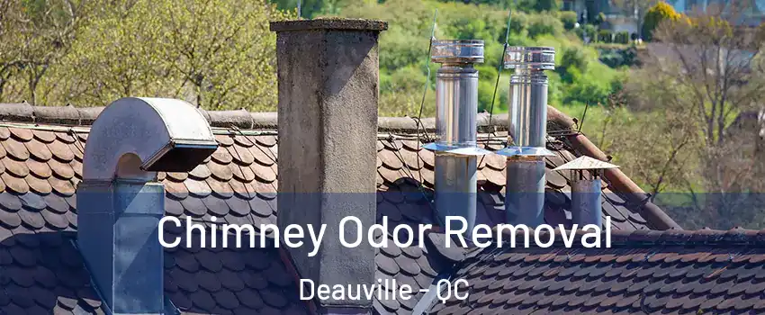  Chimney Odor Removal Deauville - QC