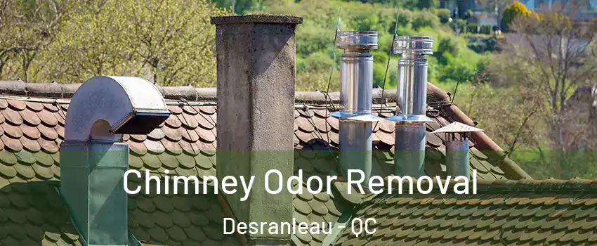  Chimney Odor Removal Desranleau - QC