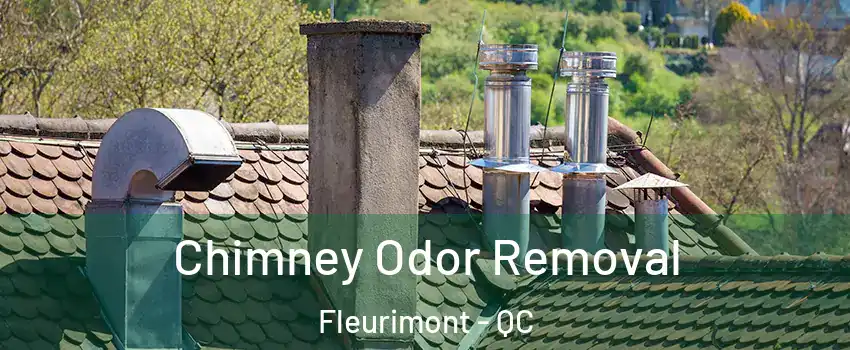  Chimney Odor Removal Fleurimont - QC