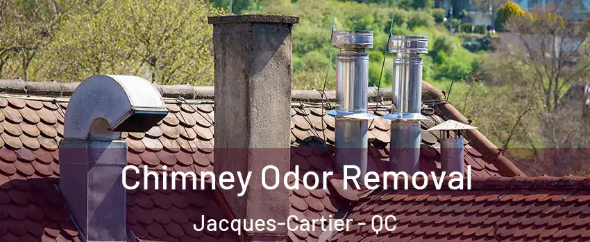  Chimney Odor Removal Jacques-Cartier - QC