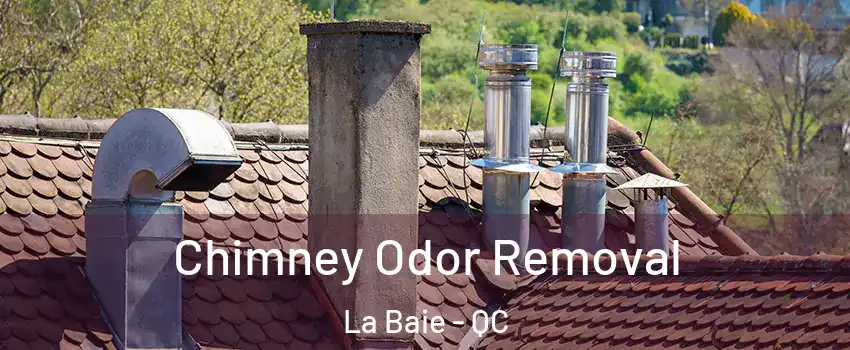  Chimney Odor Removal La Baie - QC